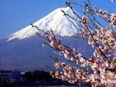 日本留学冷门但就业前景好的4大专业