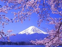 日本留学文部省留学生奖学金（国费奖学金）两种申请途径解析