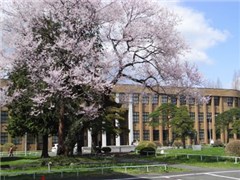 日本留学克服了这些困难才能成功！