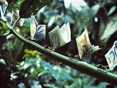 日本留学语言学校学制与学费介绍